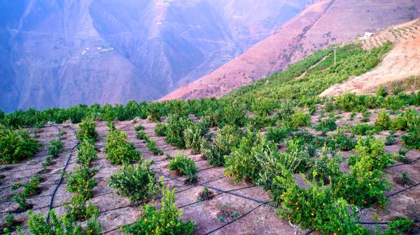 川滇明珠,一山分四季,十里不同天插图2 川滇明珠,一山分四季,十里不同天插图2
