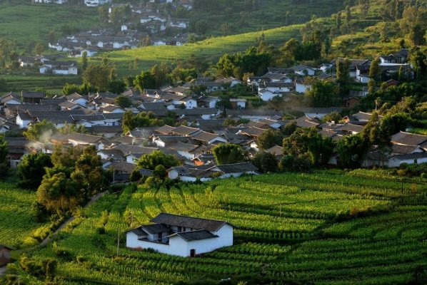 四川省会东县招聘信息网2022插图