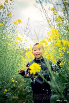 川滇明珠大地迎来烂漫春光插图1 川滇明珠大地迎来烂漫春光插图1
