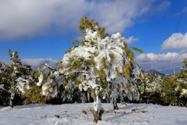 川滇明珠,熠熠生辉插图6 川滇明珠,熠熠生辉插图6
