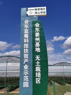 会东三家村草莓采摘园插图2 会东三家村草莓采摘园插图2