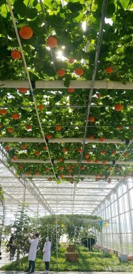 会东骏越酒店前台电话多少插图 会东骏越酒店前台电话多少插图