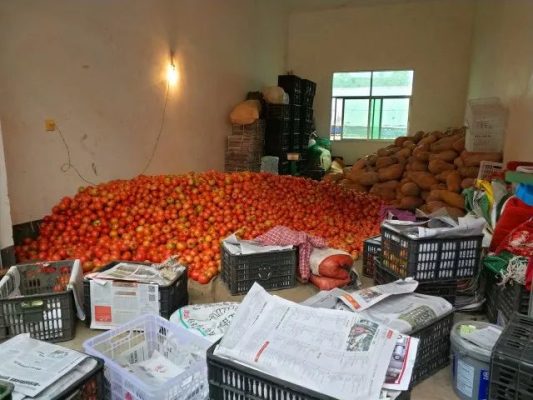 会东县大崇镇各大合作社插图3