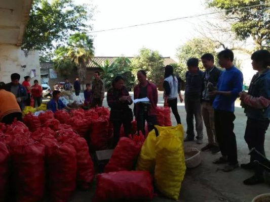 会东县大崇镇各大合作社插图4