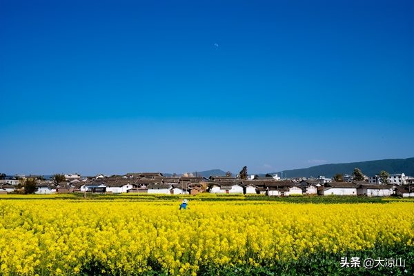 川滇明珠大地迎来烂漫春光插图2 川滇明珠大地迎来烂漫春光插图2