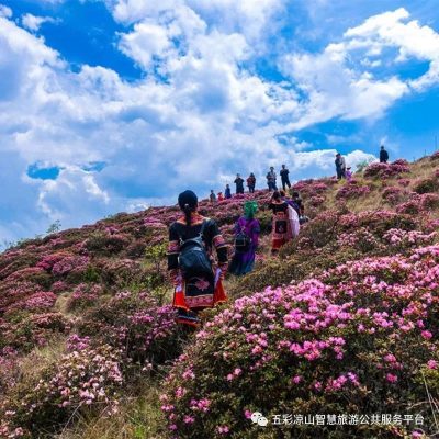 川滇明珠建设新华章插图 川滇明珠建设新华章插图