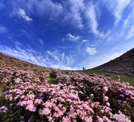 会东蓝光蓝色港湾插图1