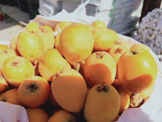 川滇明珠|会东县离云南近吗插图3 川滇明珠|会东县离云南近吗插图3