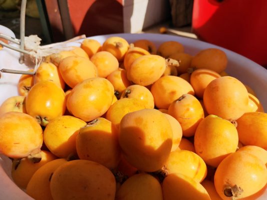 川滇明珠|会东县离云南近吗插图4 川滇明珠|会东县离云南近吗插图4