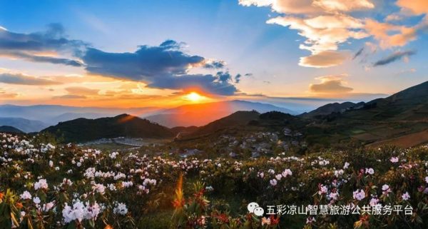 图片[9]-川滇明珠|金阳的索玛花开了-会东网