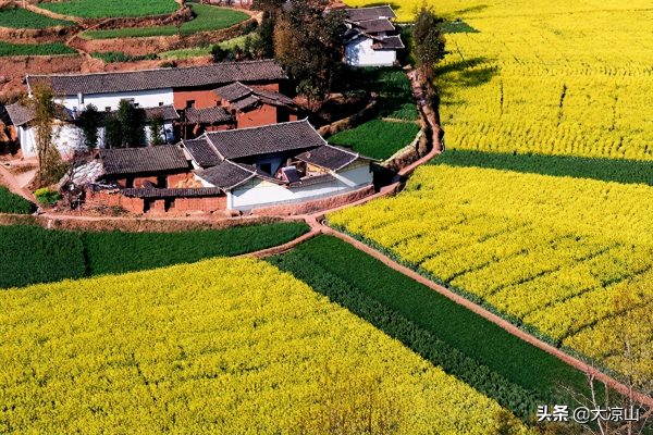 川滇明珠大地迎来烂漫春光插图3 川滇明珠大地迎来烂漫春光插图3