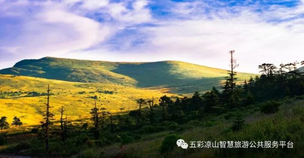 图片[14]-川滇明珠|金阳的索玛花开了-会东网
