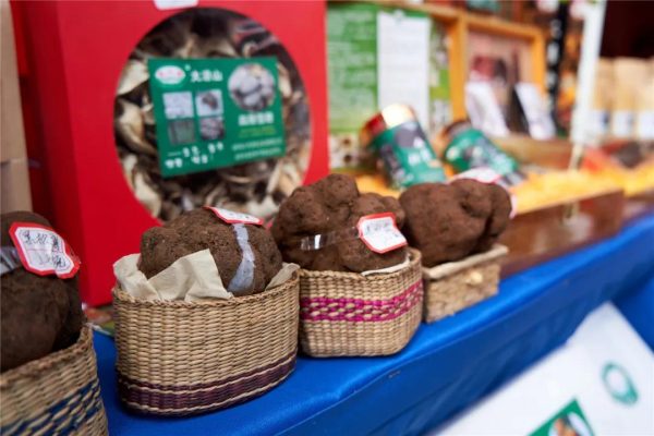 川滇明珠|会东县双黑节美食文化节2020插图24 川滇明珠|会东县双黑节美食文化节2020插图24