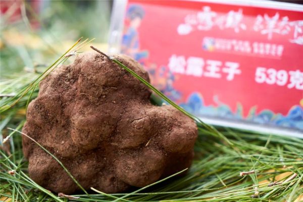 川滇明珠|会东县双黑节美食文化节2020插图9 川滇明珠|会东县双黑节美食文化节2020插图9