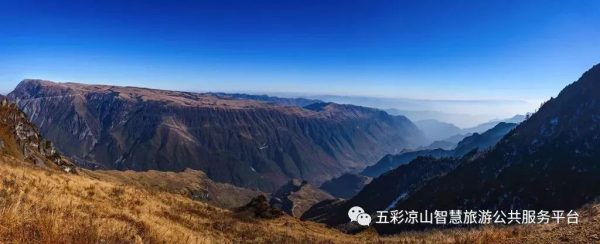 图片[17]-川滇明珠|金阳的索玛花开了-会东网