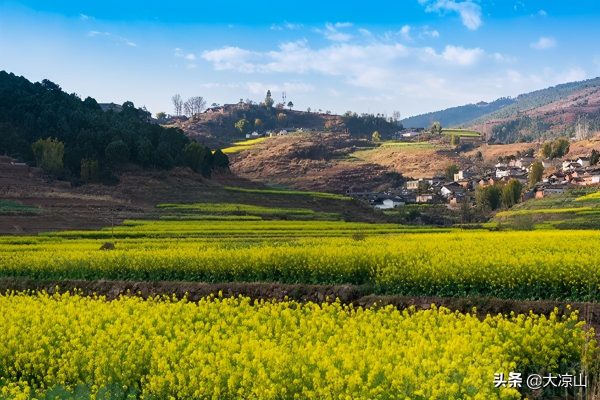 川滇明珠大地迎来烂漫春光插图4 川滇明珠大地迎来烂漫春光插图4