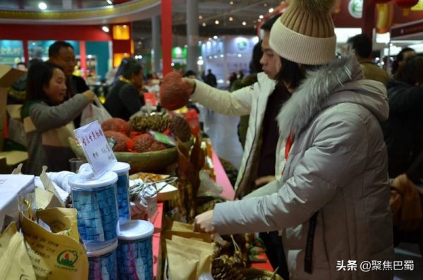 会东鲹鱼半岛共多少套房插图4 会东鲹鱼半岛共多少套房插图4