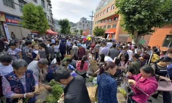 四川会东的特色插图1 四川会东的特色插图1