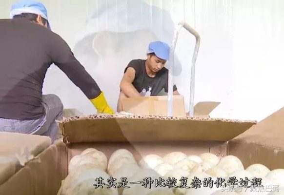 会东县嘎吉皮蛋专卖店?插图4 会东县嘎吉皮蛋专卖店?插图4