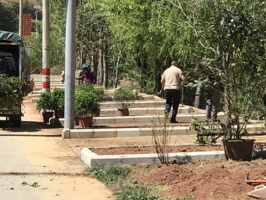 会东新街集镇一番乡村人居环境新景象插图3 会东新街集镇一番乡村人居环境新景象插图3