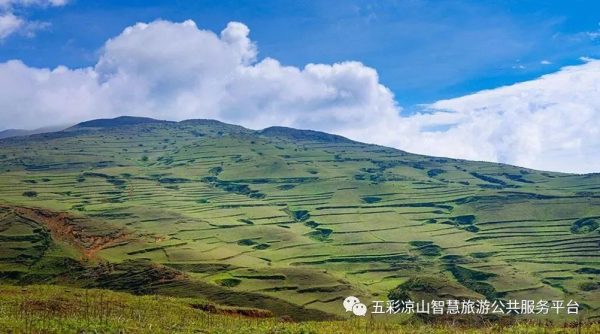图片[27]-川滇明珠|金阳的索玛花开了-会东网