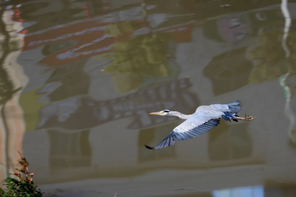 会东县职业技术学校插图5