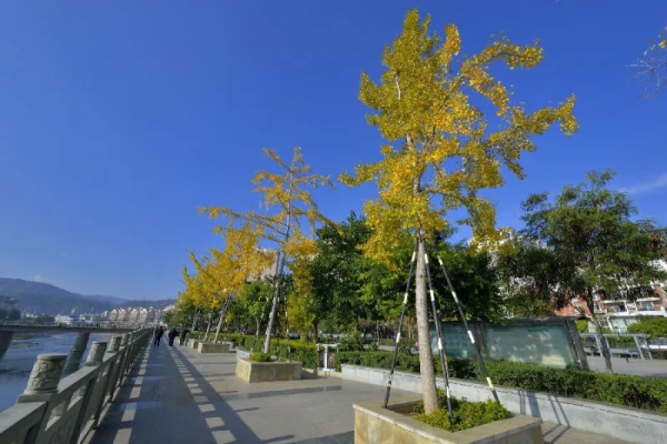 会东县职业技术学校插图2