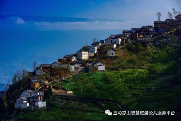 图片[37]-川滇明珠|金阳的索玛花开了-会东网