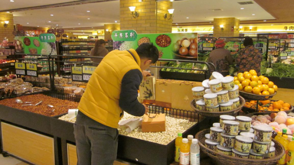 会东华山松地理标志,深山大财富插图3 会东华山松地理标志,深山大财富插图3