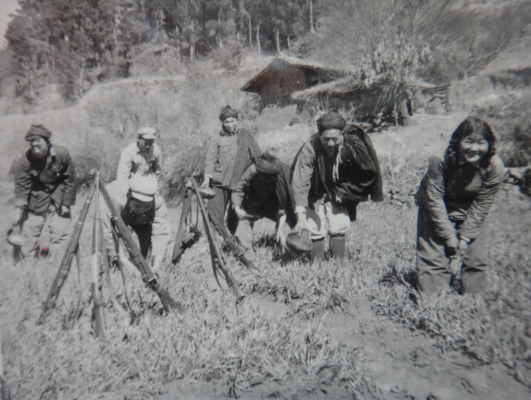 川滇明珠|会东图片(会东县新农村建设图片)插图8 川滇明珠|会东图片(会东县新农村建设图片)插图8