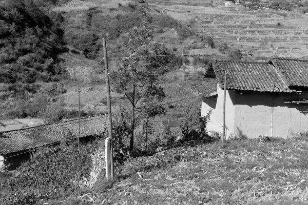 川滇明珠|会东图片(会东县新农村建设图片)插图5 川滇明珠|会东图片(会东县新农村建设图片)插图5