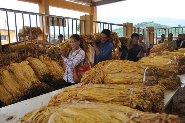 川滇明珠|会东图片(会东县新农村建设图片)插图3 川滇明珠|会东图片(会东县新农村建设图片)插图3