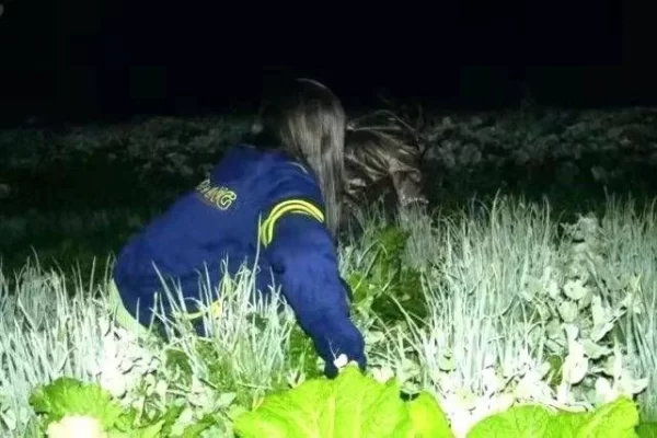 会东中学学校治安管理条例(会东治安怎么样)插图 会东中学学校治安管理条例(会东治安怎么样)插图