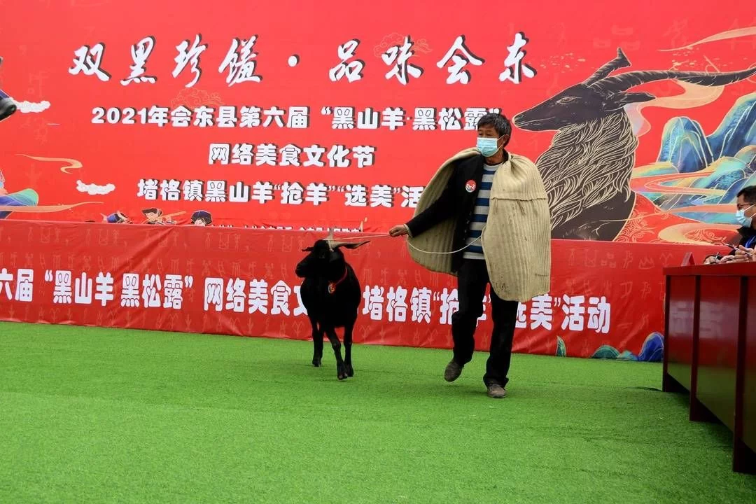 快来qio!四川会东“美羊羊”和“喜羊羊”谁更美?插图1 快来qio!四川会东“美羊羊”和“喜羊羊”谁更美?插图1