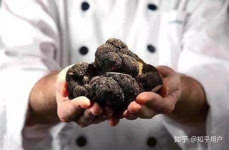 会东美食(土特产)推荐插图 会东美食(土特产)推荐插图