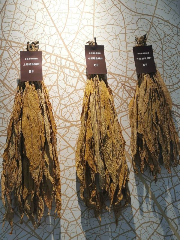 会东县财政收入，会东县2021年10.37亿插图