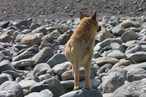 川滇明珠|会东奇石滩落水插图2 川滇明珠|会东奇石滩落水插图2