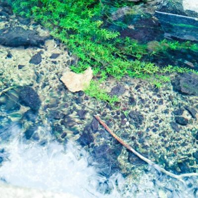 四川凉山会东县图片？插图2