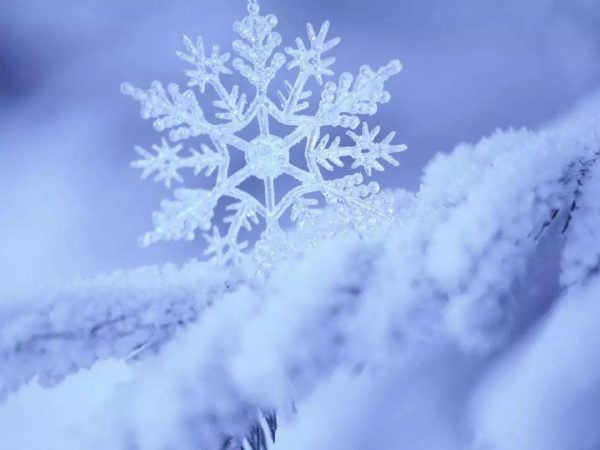 图片[1]-川滇明珠|会东，一捧雪琉璃时光-会东网