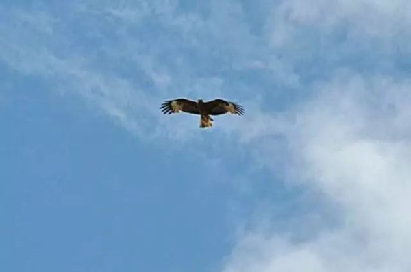 川滇明珠|想念凉山顶上会东的蓝天插图