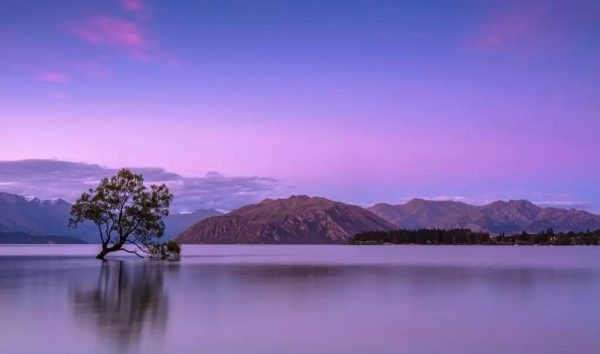 川滇明珠|我的记忆还留在会东插图