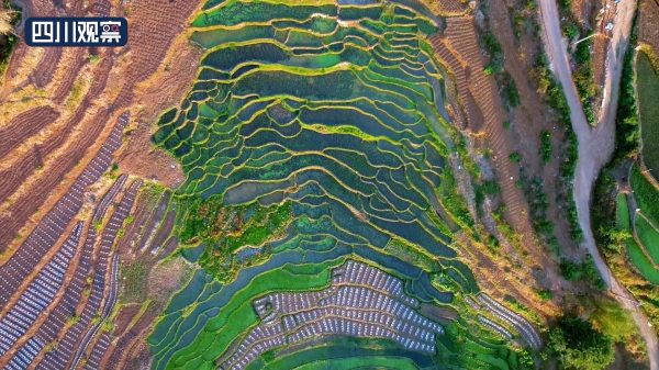 四川凉山会东县图片插图