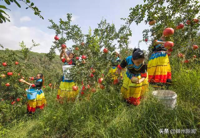 川滇明珠会东网：凉山一共有17个县级市！插图9