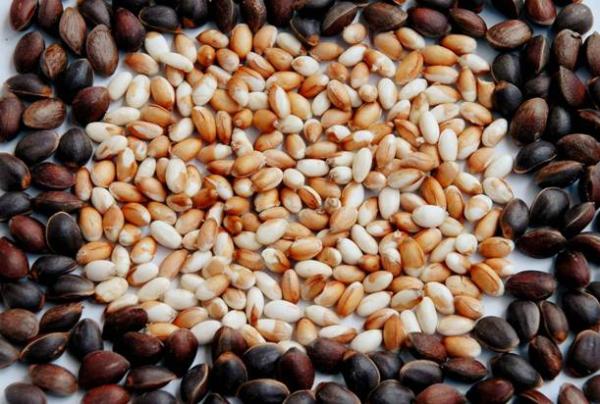 川滇明珠会东县首届黑山羊美食节插图16 川滇明珠会东县首届黑山羊美食节插图16