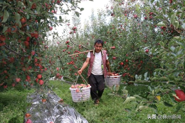 川滇明珠会东网：凉山一共有17个县级市！插图28