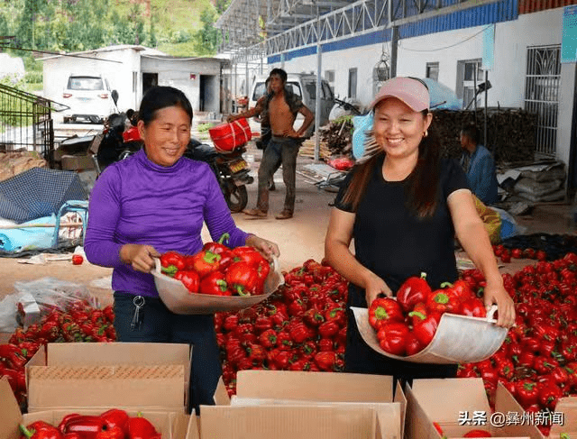 川滇明珠会东网：凉山一共有17个县级市！插图24