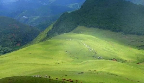 川滇明珠会东网：政府落地健康工作部署插图2