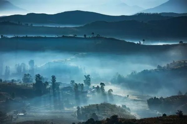 川滇明珠会东县首届黑山羊美食节插图3 川滇明珠会东县首届黑山羊美食节插图3