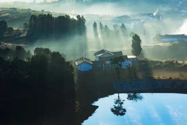 川滇明珠会东县首届黑山羊美食节插图4 川滇明珠会东县首届黑山羊美食节插图4