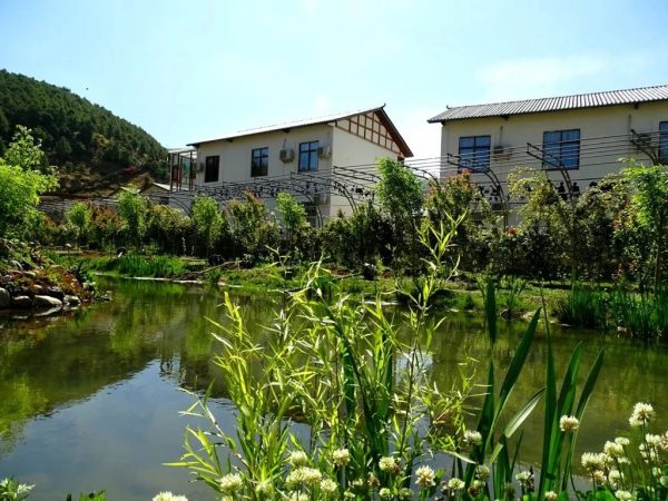 川滇明珠会东:芍药花开待客来插图7 川滇明珠会东:芍药花开待客来插图7